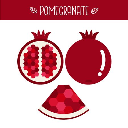 Pomegranate Vector illustration.のイラスト素材