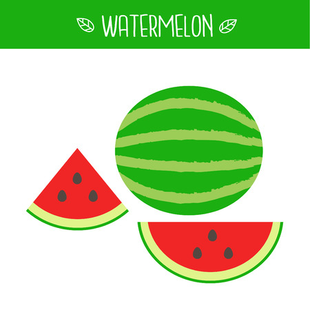 Watermelon Vector illustration.のイラスト素材