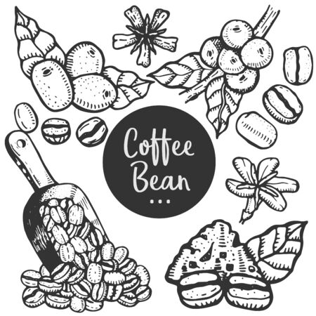 Hand drawn illustration of Coffee.のイラスト素材