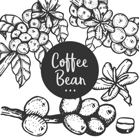 Hand drawn illustration of Coffee.のイラスト素材
