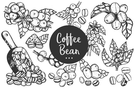 Hand drawn illustration of Coffee.のイラスト素材