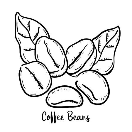 Hand drawn illustration of Coffee.のイラスト素材