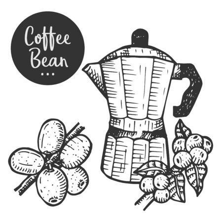 Hand drawn illustration of Coffee.のイラスト素材