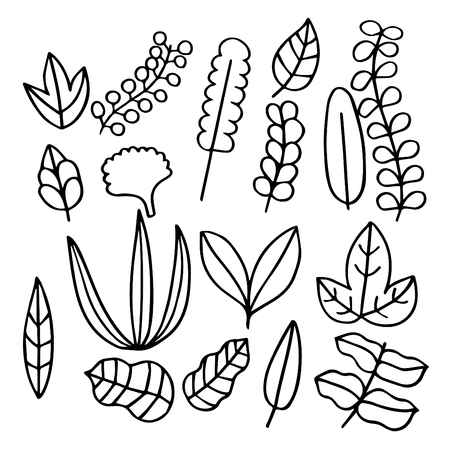 Hand drawn doodle set of Leaves.のイラスト素材