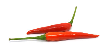 chillis on white background.の写真素材