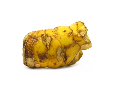 Galangal on white background.の写真素材