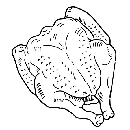 Hand drawn illustration of raw chicken.のイラスト素材
