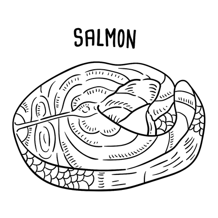 Hand drawn illustration of Salmon.のイラスト素材