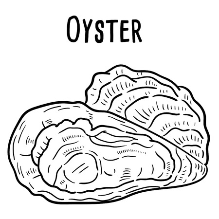 Hand drawn illustration of Oyster.のイラスト素材