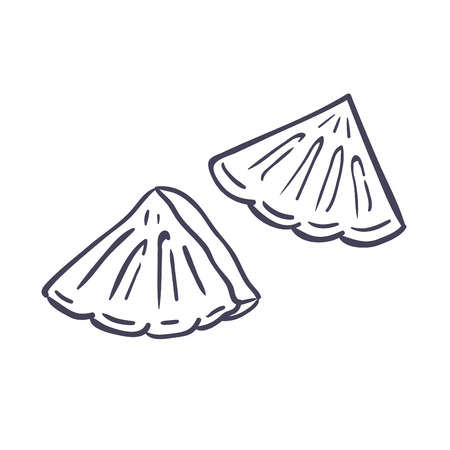 Hand drawn illustration of pineapple.のイラスト素材