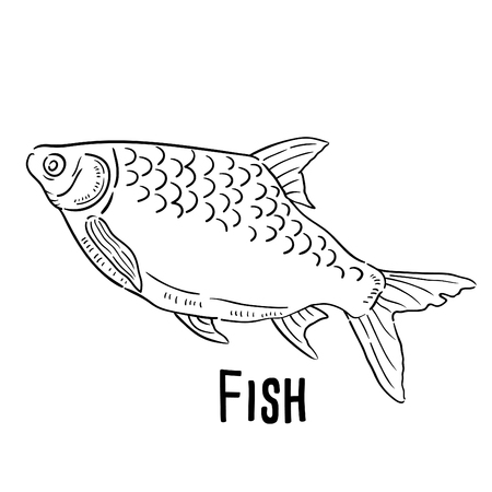 Hand drawn illustration of Fish.のイラスト素材