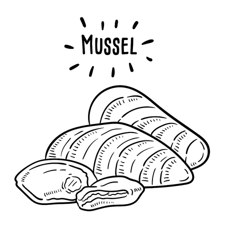Hand drawn illustration of Mussel.のイラスト素材