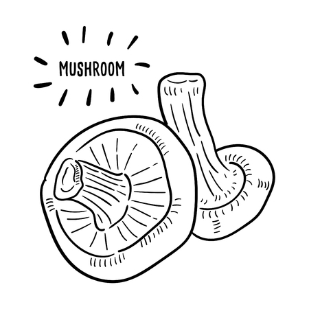 Hand drawn illustration of Mushroom.のイラスト素材