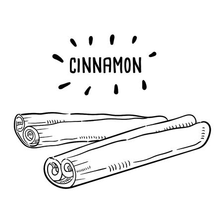 Hand drawn illustration of cinnamon.のイラスト素材
