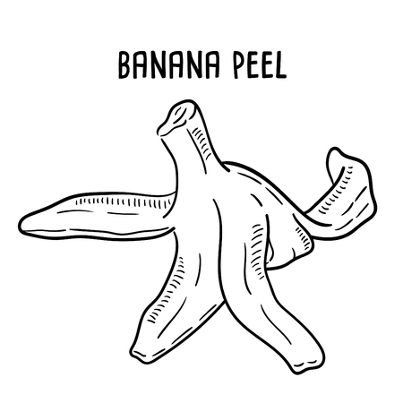 Hand drawn illustration of banana peel.のイラスト素材