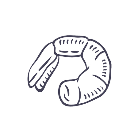 Hand drawn illustration of shrimp.のイラスト素材