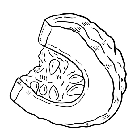 Hand drawn illustration of Pumpkin.のイラスト素材