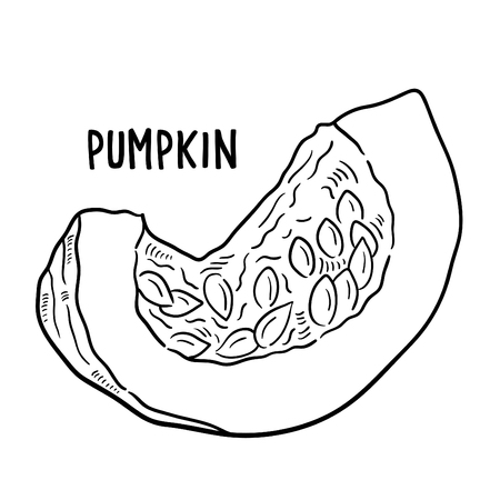 Hand drawn illustration of Pumpkin.のイラスト素材