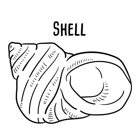 Hand drawn illustration of Shell.のイラスト素材