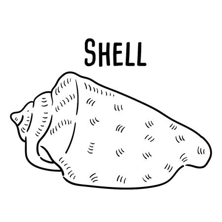 Hand drawn illustration of Shell.のイラスト素材