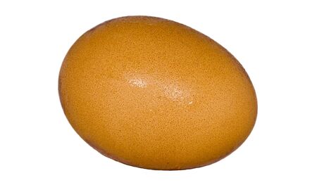 isolated fresh chicken egg