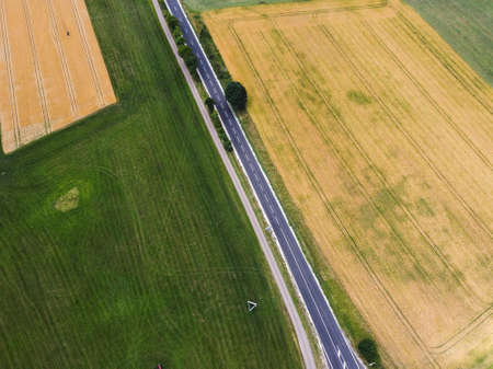 Beautiful green young rice field, local soil road, morning golden sunlight and vast sky in trainy...