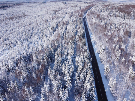 Winter landscape, Forest, Winter road and trees covered with snow, Germany,の写真素材