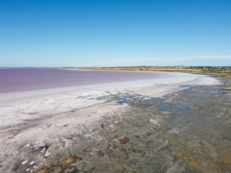 View of the pink salty Syvash lake in Kherson region, Ukraineの写真素材