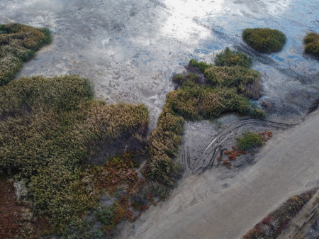 Swamps natural patterns blend in a mesmerizing display of waterの写真素材
