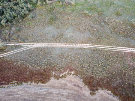 View of the pink salty Syvash lake in Kherson region, Ukraine