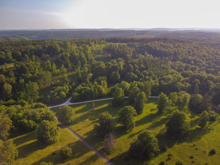 Aerial photo of a white tower in a green forested area.の写真素材