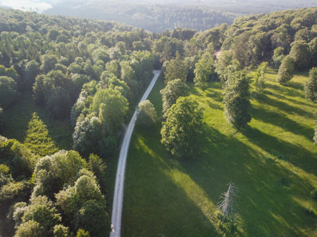 Road through the green forest, Aerial view of city through forest, top viewの写真素材