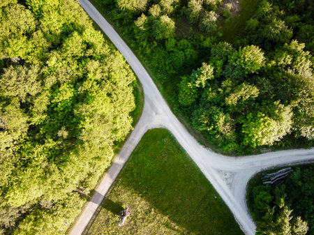 Nature and landscape: aerial view of a forest and a naturalistic path,の写真素材