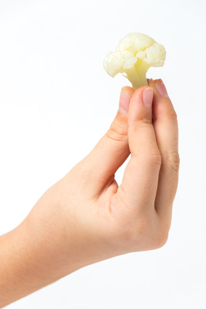 hand holding Broccoli isolated on white backgroundの写真素材