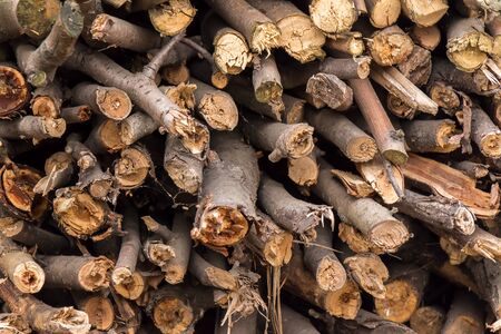 Natural wood background, close-up. The firewood is laid and prepared for the winter pile of wooden logs.の写真素材