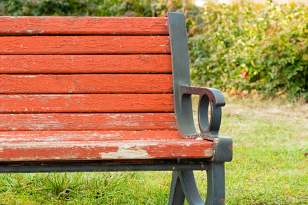 A bench in the park on a beautiful sunny dayの写真素材