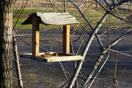 Feeders for birds in the city parkの写真素材