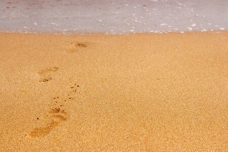 footsteps in sandy on the beachの写真素材
