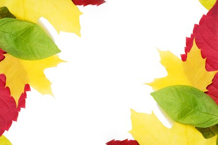 Frame of colorful autumn leaves white backgroundの写真素材