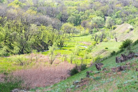 Landscape of deciduous forest or park top view.の写真素材