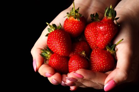 Female hands are full of fresh strawberries. Girl holding ripe strawberries isolated on black background. Seasonal food and fresh fruit concept. Close up, selective focusの写真素材