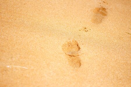 Footprints from childrens feet in the clear sea sandの写真素材