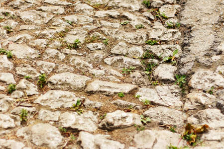 Old vintage paving stones as background. As a background.の写真素材