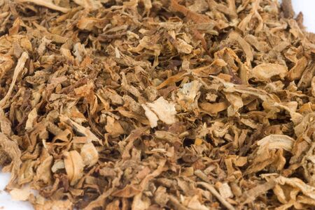 tobaccoの写真素材