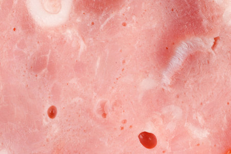 ham backgroundの写真素材