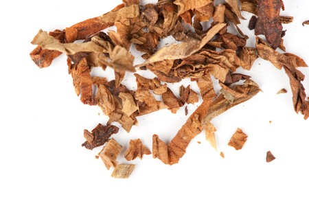tobacco isolated on a white backgroundの写真素材