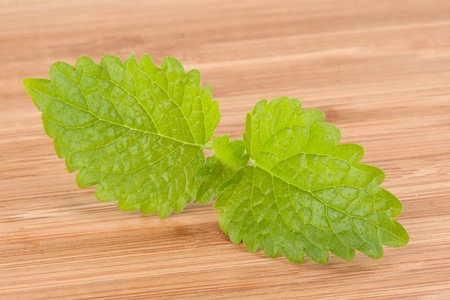 Fresh green mint closeup