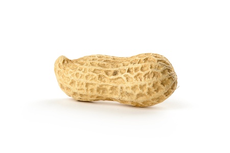 Peanut isolated on white background
