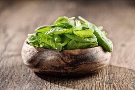 fresh green spinachの写真素材