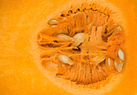 Butternut squash close upの写真素材